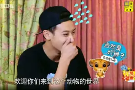 闪亮的爸爸：耿直男孩黄子韬，狮子王辛巴竟说成淋巴，太尴尬！