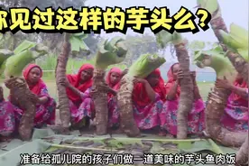 你见过这种长芋头么？在我国它有毒不能吃，在印度却是一种家常菜视频封面