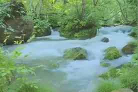 催眠轻音乐，下雨声虫叫声，大自然风景，平静身心安然入眠。视频封面