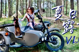 60个成年人一起在户外过家家是什么体验！原来露营还可以这样玩啊视频封面