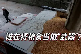 俄罗斯“故意”把全球饥饿当作“武器”？普京回应视频封面
