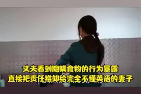 一对夫妻携带大量食物隐瞒申报入境澳大利亚被海关发现后推卸责任视频封面