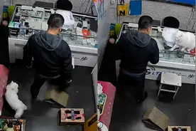 脾气还不小？主人叫猫回家又嫌猫烦，气得猫一顿狂挠主人连声讨饶视频封面