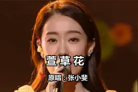 电影《你好，李焕英》主题曲《萱草花》，张小斐原唱版，真好听视频封面