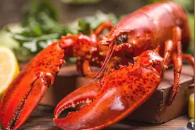 龙虾壳别丢！可回收视频封面