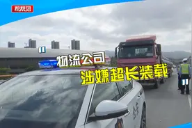“超出车身两米”长乐一物流公司多辆挂车违法装载，交警现场处罚视频封面