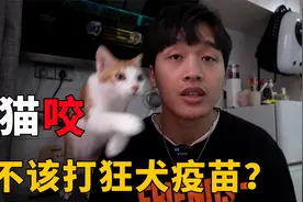 被猫咬了没去打狂犬疫苗！搜网上答案感觉自己快要死了，怎么办？视频封面