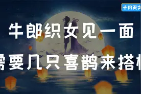 牛郎织女见一面，需要几只喜鹊来搭桥？视频封面