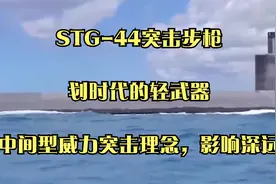STG-44突击步枪：划时代的轻武器，中间型威力突击理念，影响深远视频封面