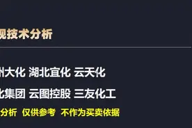点评：沧州大化 湖北宜化 云天化 雅化集团 云图控股 三友化工视频封面