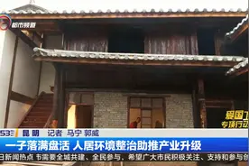 一子落满盘活 人居环境整治助推产业升级视频封面