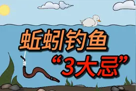 用蚯蚓钓鱼时，需避开“3大忌”，不然“万能饵”变“无能饵”视频封面