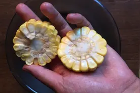 野钓水库鲤鱼，草鱼嫩玉米的泡制方法。钓大鱼效果杠杠的！视频封面