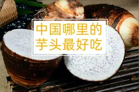 中国哪里的芋头最好吃视频封面