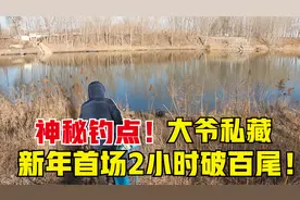 野河2.7米钓到胳膊疼？感谢大爷无私分享，这结局确实意想不到！视频封面