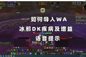 如何导入WA冰邪血DK疾病及增益语音提示功能视频封面
