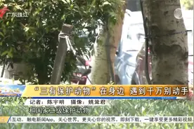 “三有保护动物”在身边 遇到千万别动手视频封面