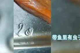 能不能吃？带鱼腹中惊现透明细长虫子！视频封面