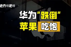 华为“跌”不倒，苹果也别想吃太饱视频封面