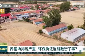 【生态环境厅上线】养猪场排污严重 环保执法岂能敷衍了事？视频封面