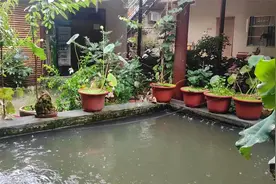 秦岭终南山连续大雨，在院子待了两天没敢出去，住山生活就是这样视频封面