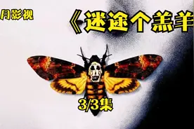 电影《迷途的羔羊》3/3集视频封面