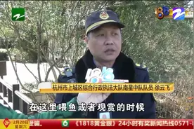 杭州两位城管加上大伯 合力救起落水女孩 施救过程惊心又暖心！视频封面