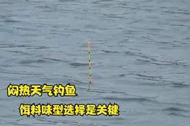 天气闷热鱼难钓？那是饵料味型没选对，看老钓鱼人怎么用饵视频封面