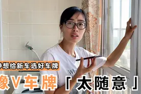 静静接电话给新车选车牌，豫V车牌有吉利数字吗？静静感觉随意了视频封面