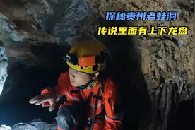 探秘贵州深山里的神秘山洞，老乡说里面有上龙盘和下龙盘你见过吗视频封面