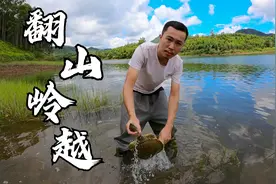 五斤泥鳅饵料，两百只甲鱼扣，盘水库大鱼视频封面