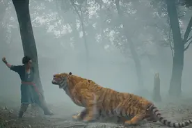 一个强壮的人，徒手能不能打赢一只老虎？答案很现实视频封面