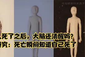 人死了之后，大脑还清醒吗？研究：死亡瞬间知道自己死了视频封面