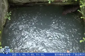 广州：井水持续一周上升冒泡 居民怀疑跟地震有关视频封面