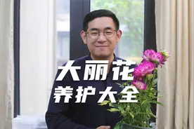 园艺师教你，大丽花怎么养，这可能是关于大丽花，最全面的教程了视频封面