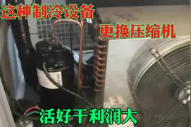 这种制冷设备换压缩机比冰箱简单，利润却是冰箱的好几倍视频封面