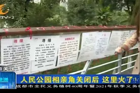 人民公园相亲角关闭后，这里火了！大爷大妈帮儿女牵姻缘视频封面