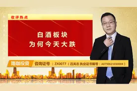 白酒板块为何今天大跌？