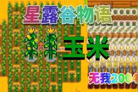 【星露谷物语】吐槽一下玉米的收益视频封面