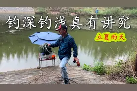 立夏雨天钓深还是钓浅好？今天算是钓出答案了，至少少钓10斤鱼！视频封面