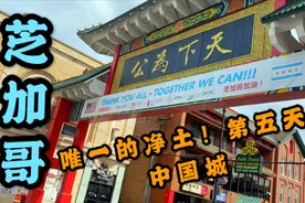 芝加哥华人义警和枪友会保护唐人街第五天！带大家看最安全中国城视频封面