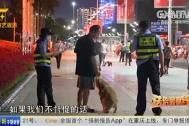 南宁多部门联合行动，清查不文明养犬行为，多名犬主现场收到罚单视频封面