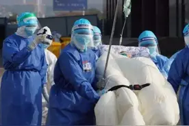 上海老人发烧，打电话求助遭人咆哮！工作人员回应“失控”原因视频封面