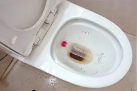 马桶放入2样便宜东西，从此没有臭味，方法原来这么简单，厉害视频封面