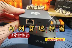 教您远程访问家里的NAS，花生壳盒子or蒲公英X1，内网穿透神器！