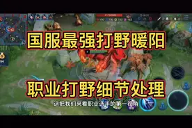 职业国服最强打野暖阳第一视角，来看职业是怎么带节奏发育的视频封面