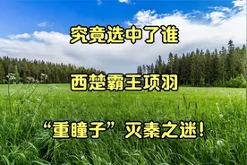 究竟选中了谁_西楚霸王项羽“重瞳子”灭秦之迷！视频封面
