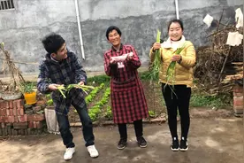 蒜薹吃不完，婆媳俩揉一盆死面，做了100多个饺子，味道可香了视频封面