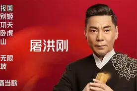 10首屠洪刚好听的经典歌曲《精忠报国》