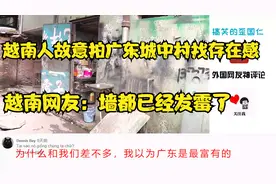 越南人故意拍广东城中村找存在感，越南网友：墙都已经发霉了视频封面